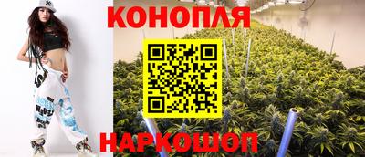 индика Северобайкальск