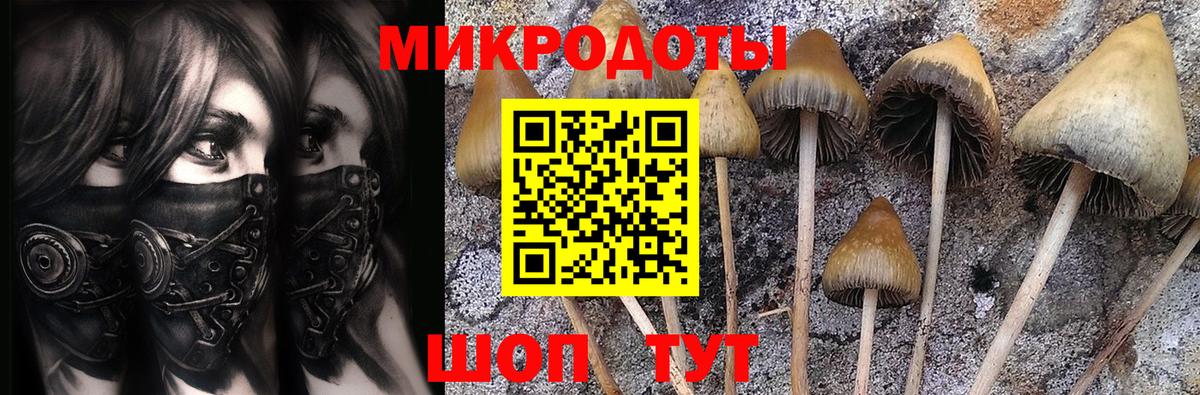 как найти закладки  Галлюциногенные грибы Magic Shrooms  Вход с VPN  Соль-Илецк  Галлюциногенные грибы ЛСД 